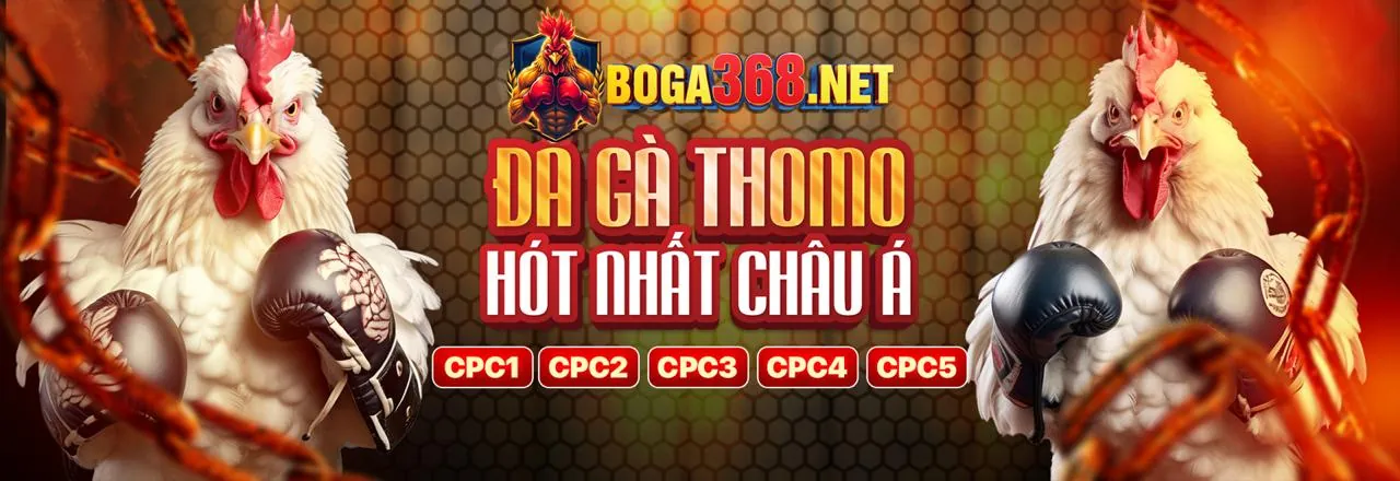 Tải Ứng Dụng tf88 trang chủ